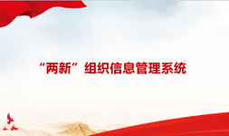 “两新”组织管理系统