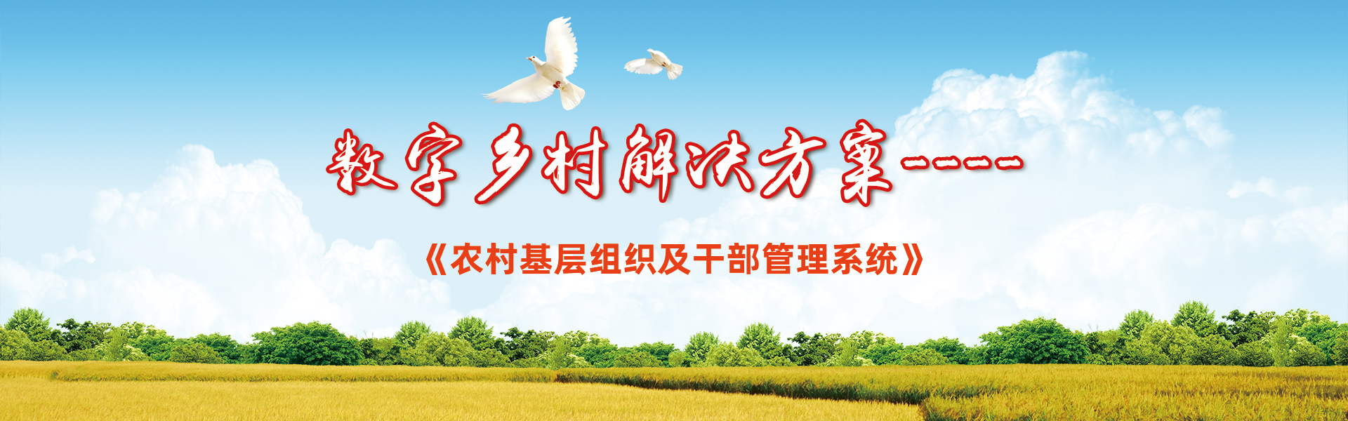 农村干部管理系统